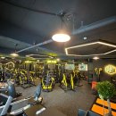 하이브짐(Hive Gym) 이미지