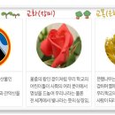 중앙동 온온사 옆 이미지