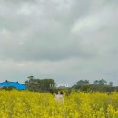 키도민박 이미지