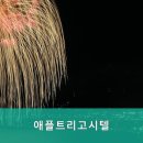 애플트리고시원