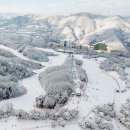 비발디파크 스키월드 | 비발디파크 스키월드: 이용 요금, 할인 정보 및 리뷰