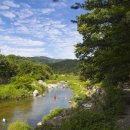 초록숲민박 이미지