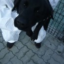 중산간동로 이미지