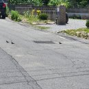 제비네 농장2 이미지