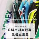 으뜸스포츠 | [건강/운동]수원요넥스 공식인증점, 으뜸스포츠에서 어린이라켓 구매후기/입문용 배드민턴라켓부터 선수...