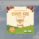 강아지공간 이미지