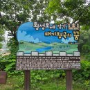 호수길 걷기명상 이미지