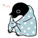 디지컴퍼니 네이버블로그