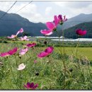 모동모동 이미지