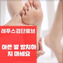 레푸스검단로브