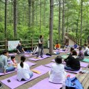 김천앞바다 이미지