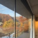 STAY HARUM 이미지