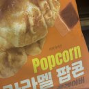 수아동물병원 | 토카타 니가 몬데 내 기분을 쥐었다 폈다 하냐 진짜