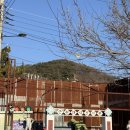 은하상회 | 담양가볼만한곳 ! 엄마 아빠도 춤추게 만든 담양추억의골목 볼거리가 어마어마~