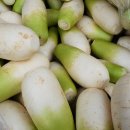 은행나무시장 이미지