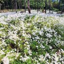 율곡수목원(2) 이미지