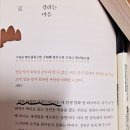 8월의 크리스마스.... 이미지