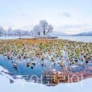 제4산단1로L 이미지