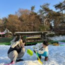 팜팜 | 아이와 눈썰매장 다녀온 후기 | 시흥 팜팜랜드