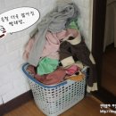 지니홈아트 네이버블로그