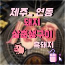 삼춘이간다 | 🐷 제주 돼지 뿌시기 — 연동 골목 속 흑돼지 맛집 “돼지삼춘생구이” 후기