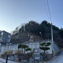 멍스테이펜션 | 가평애견동반펜션 멍스테이펜션 애견 두마리와 같이 방문 후기