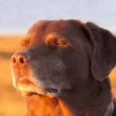 대영카 | 스페인 여행 - 몬세라트(Montserrat)⛰️