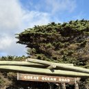 사도 | 멜버른 그레이트오션로드 투어 내돈내산 후기 : 조이투어 (+12사도 헬기)