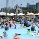 바글바글 이미지