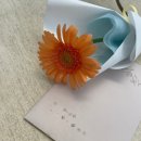 [일상] 무한 청첩장약속 굴레에 빠져버림 ┬┴┤ω`) 상견례 하고, 웨딩촬영도 했다