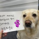 부다리농장 Daum카페