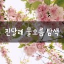 만2세 2019년 3월 첫 시작,새학기 첫 등원,아동놀이특징(연령별 놀이발달),소근육 운동 대근육 운동,만5세 진달래 물오름 이미지