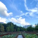 (주) 오연 이미지