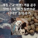 11545-05-00-02 | 세종 근교 여행) 겨울 공주 알밤축제, 애견 동반으로 다녀온 솔직 후기