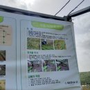 양수농장2 이미지