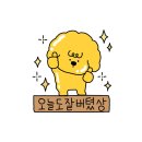 낙무아이 복싱짐 이미지