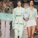 백꽃사랑하이빛 이미지