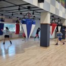 복싱메카 이미지