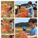 대기2리 이미지