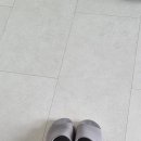 신기 이미지