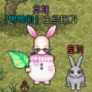 다람쥐신발나라 이미지