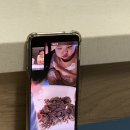 차마당카센타