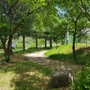 부연공원 이미지