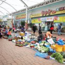 남도버스 이미지