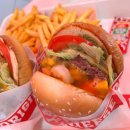 미니돌 홍대점 이미지