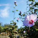 하북2길 이미지