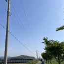 피플앤독느티캠핑장 이미지