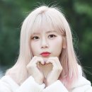 지유 카카오 검색결과