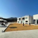 펫인더파크 이미지