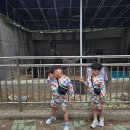 사천까샤126펜션 이미지